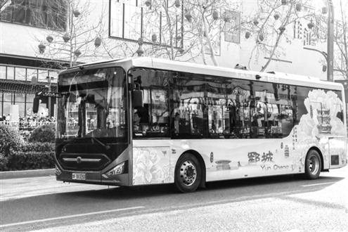 菏泽街头“牡丹+”文旅主题公交陆续亮相